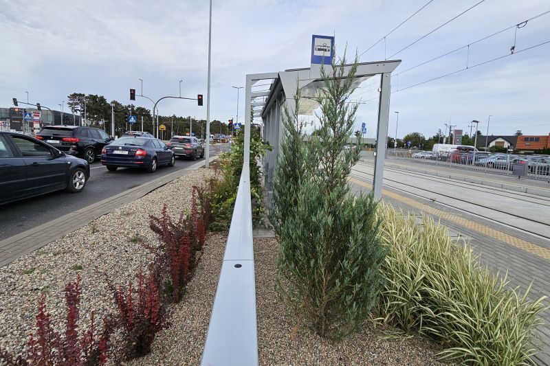 Samochody na ulicy i zielony przystanek